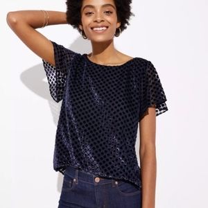 LOFT  Navy Blue Velvet Dot Blouse Sz S